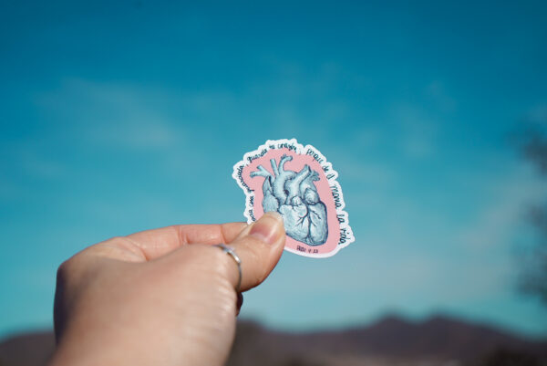Stickers edición limitada - Imagen 3