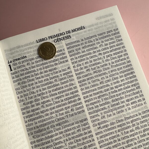 Biblia RV 1960- Letra GIGANTE - Imagen 8