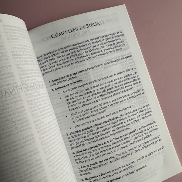 Biblia RV 1960- Letra NORMAL - Imagen 5