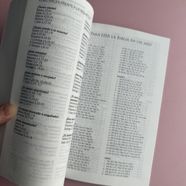 Biblia RV 1960- Letra NORMAL - Imagen 6